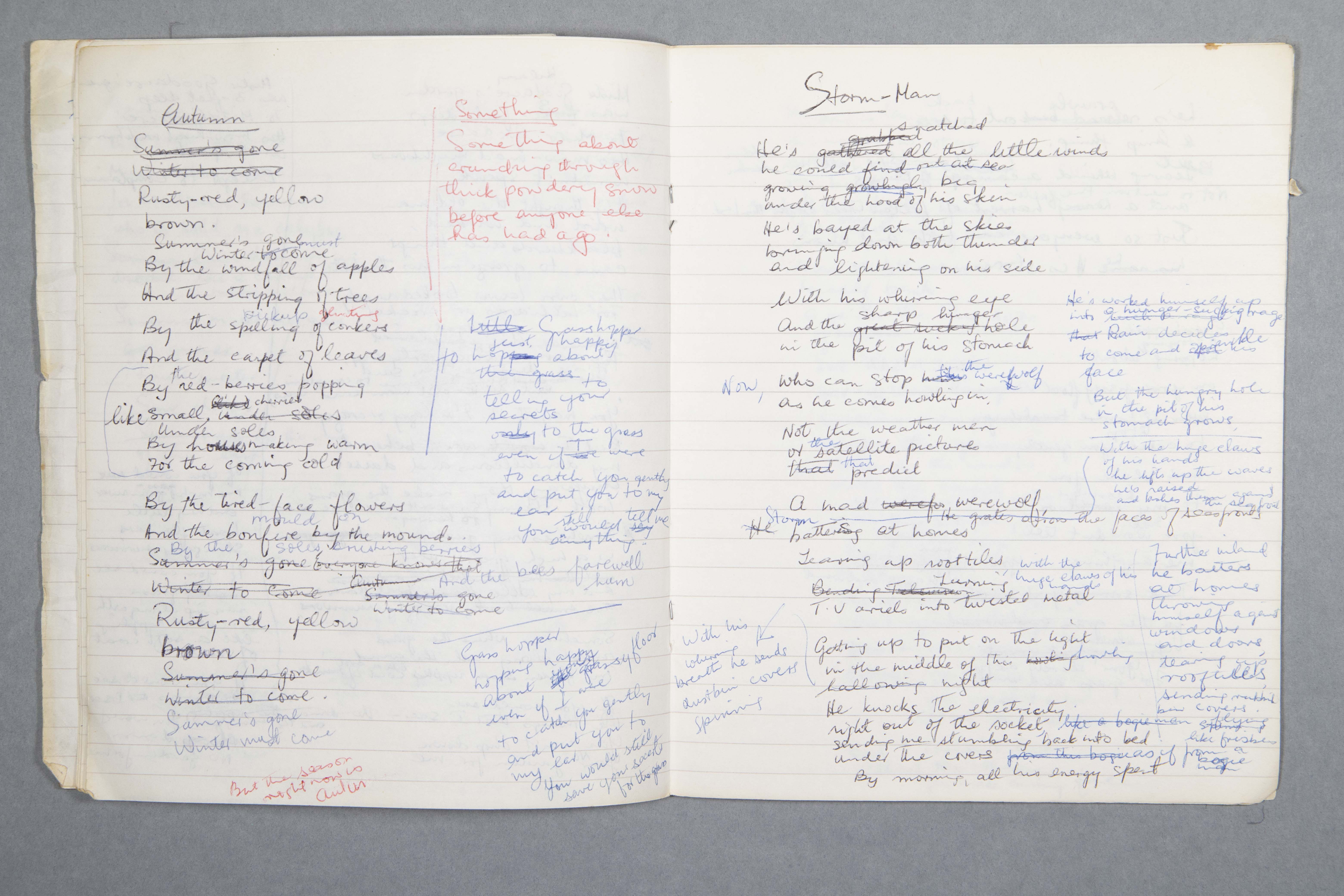 An opening from one of Grace Nichols' notebooks containing a manuscript draft of two poems, 'Autumn' and 'Storm-man'.